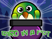 Bird In a Pot