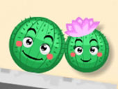Cactus Roll