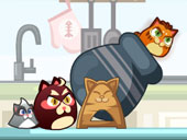 Cats Cannon