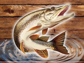 Fish Rain