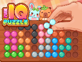 Fun IQ Puzzle