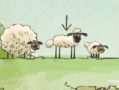 Home Sheep Home