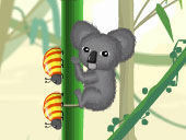 Koala vs Bugs