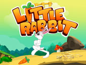 Little Rabbit