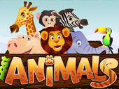 Lost Animals