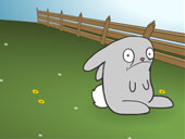 Mr Bunny Adventures
