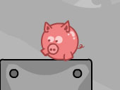 Pigs Can Fly