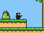 Robin the Mercenary