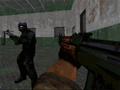 Special Trooper Forces
