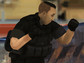 Streets of Anarchy: Fists of War