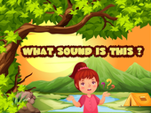 What Sound is This?